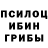 Галлюциногенные грибы Cubensis yoki1326