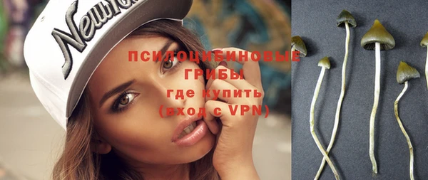 ешки Нефтекумск