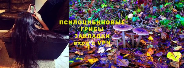 ешки Нефтекумск