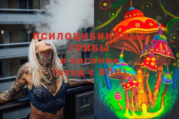 ешки Нефтекумск